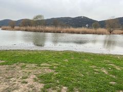 -长广溪湿地公园