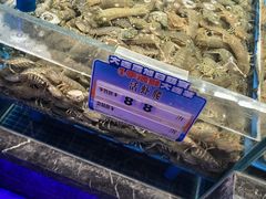 -大连湾旭日·家宴·海肠捞饭(马栏广场店)