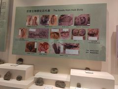 -辽宁古生物博物馆