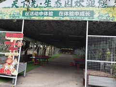 -天下先生态园农庄CS团建露营地(海鸥岛店)