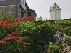 -南京市民俗博物馆(甘熙故居)