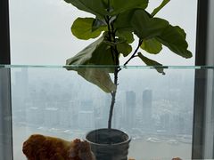 -鲜璟台·地标景观餐厅(上海中心店)