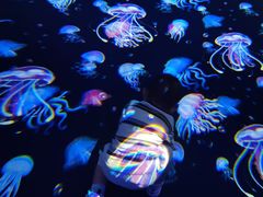 -江和美海洋公园