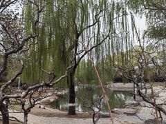 -万柳阁小馆·花园餐厅(龙潭湖店)