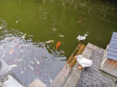 -苏州文庙(姑苏区)