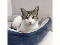 -荔康动物医院(康王北路店)