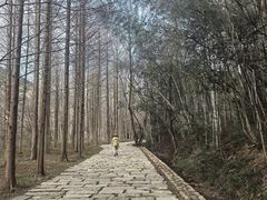 -小格里自然风景区