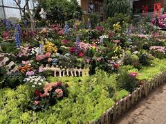 -沈阳植物园