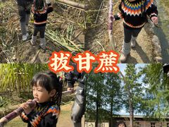 -乌村