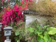 -深圳国际园林花卉博览园