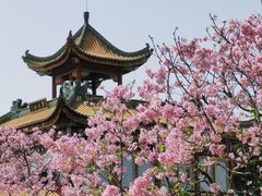 -宝墨园景区