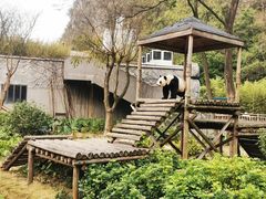 -柳州市动物园
