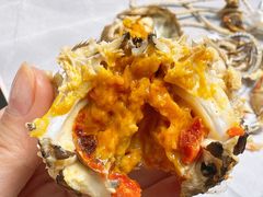 -碧中海汤泉汗蒸酒店