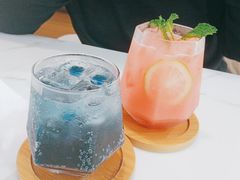 -喵园·猫主题咖啡厅·撸猫·猫咖(国贸店)