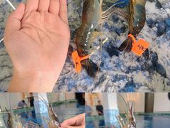 -SHRIMP CLUB万东餐饮钓虾·清吧