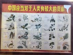 -广东中医药博物馆