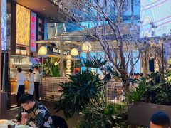 -桂满陇·海市蜃楼·黑金(国金店)