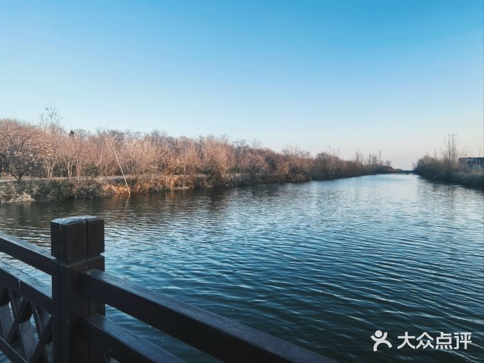 盐城丹顶鹤湿地生态旅游区图片