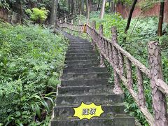 -南山植物园