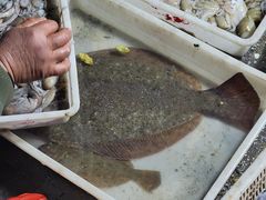 -登州市场(登州路店)