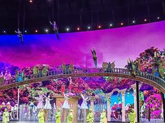 -《驼铃传奇》秀