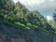 -金鼎雪山牦牛杂火锅(理县总店)