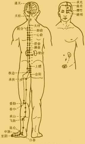 膀胱经经络图及走向图片