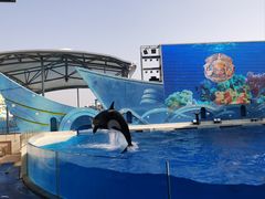 -上海海昌海洋公园