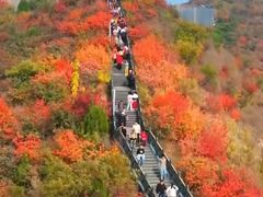 -狼牙山风景区