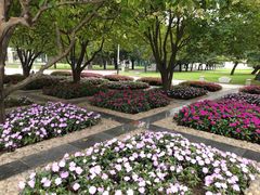 -石家庄市植物园