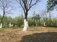 -如皋市龙游湖欢乐世界