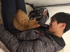 iphone_upload_pic-JOJO实景沉浸侦探剧本杀(大悦城店)