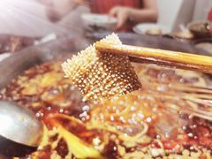 -四小区火锅·巷子里的重庆火锅(花照壁店)