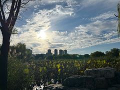 -太阳宫公园