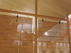 -大厨小馆(华阳城店)