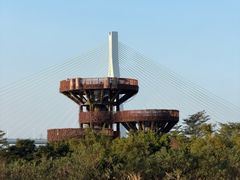 -芒洲湿地公园
