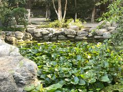 -莲湖公园