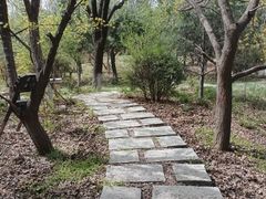 -鹦鹉寺公园