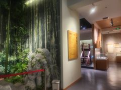 -潜山国家森林公园