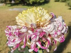 -国家植物园