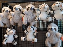 -ZOO COFFEE动物园咖啡(望京锐创店)