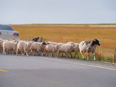 -青海湖国家重点风景名胜区