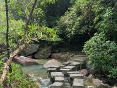 -广州白江湖森林公园