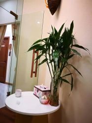 -芳朵美容养生SPA