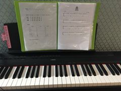 -歌斐木钢琴工作室