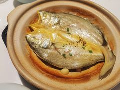 88秒小黄鱼-桐爷小馆(广渠门店)