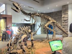 -自贡恐龙博物馆