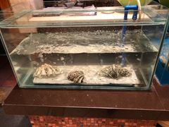 水产区-火舞泰·泰式海鲜火锅餐厅(世纪城店)