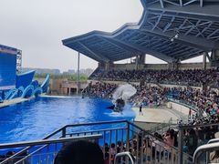 -上海海昌海洋公园