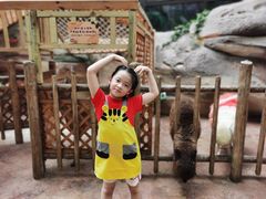 -杭州开元森泊度假乐园